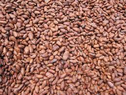 Cacao  - COMPAÑÍA AGRÍCOLA CALDMOB CÍA. LTDA